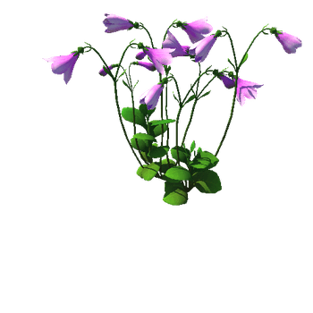 Flower_Linnaea borealis1_1